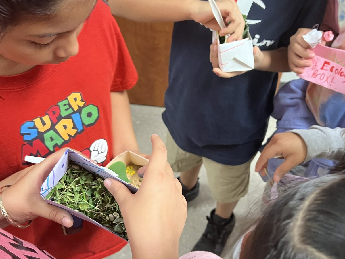 TenaciousTeacher👩🏾‍🏫🍎 tweet media