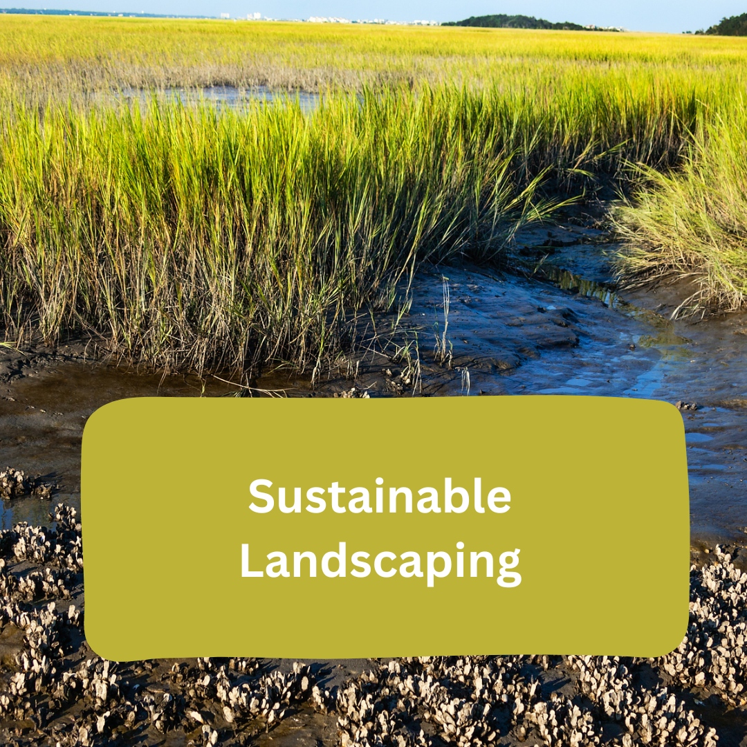 South Fork Sea Farmers has a mission of education and programming around all things water. Listen as Edwina von Gal and Paul Munoz discuss sustainable landscaping and lawn care.

southforkseafarmers.org/ltv/2023/6/13/…

📷️: South Fork Sea Farmers