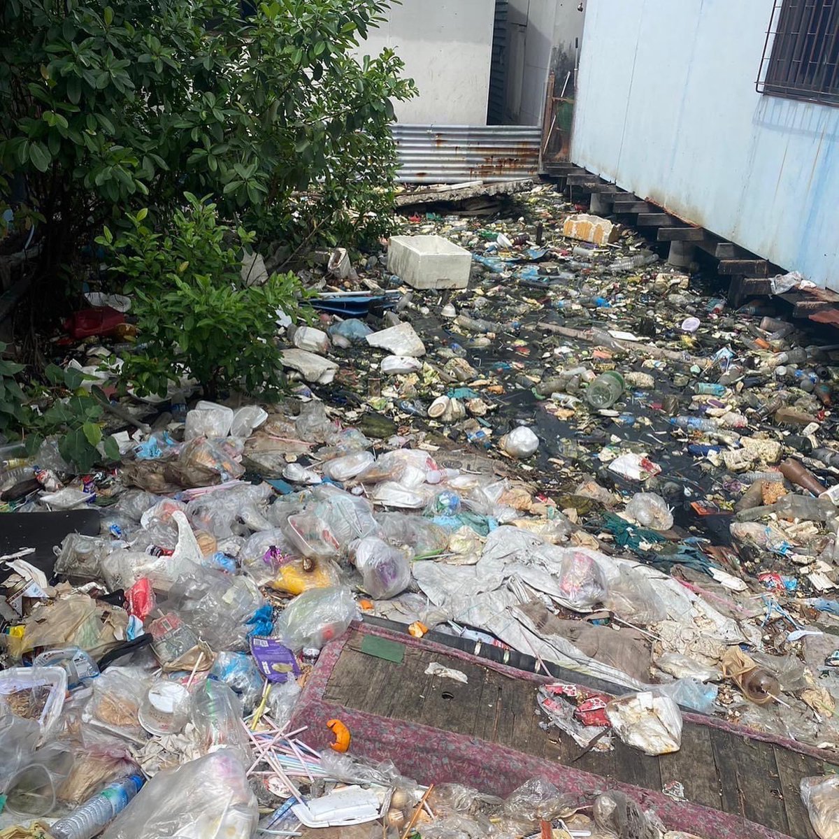 BKK_community's tweet photo. Today we evaluated water treatment solutions in slum communities. Contaminated water beneath homes poses health risks during floods. Leveraging EMicroorganisms, we're determined to make a positive impact and provide sustainable solutions. #WaterTreatment #klongToei #Bangkok https://t.co/3mIjZ1Xmgm