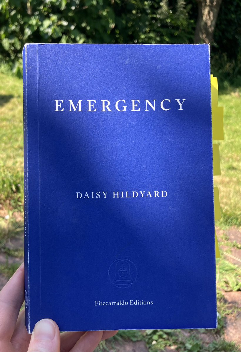 Ellen Wiles tweet media