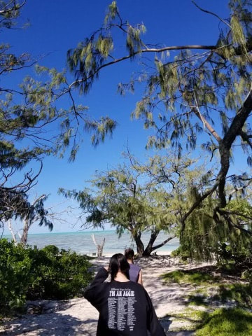 WATS is back at the #GreatBarrierReef w/13 students taking part in the Coral Reefs Field Course available to undergrad students! The students are blogging each day of their experience at the scenic and world class @HIRS_UQ: tinyurl.com/4czrcx4d

#marinescience #education