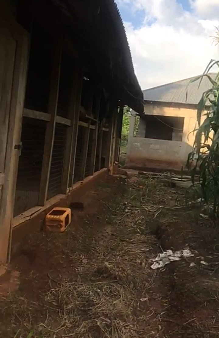 JkcCompany's tweet photo. This property is for sale inside Kumasi - Adankwame 
The land contains 
2 bedroom house
3plot of land 
A poultry farm which can contain about 3000 birds , which going for a cool price 
DM if interested +233549846182 or DM @Quasi_Cyprus https://t.co/E1uo4dOxz7