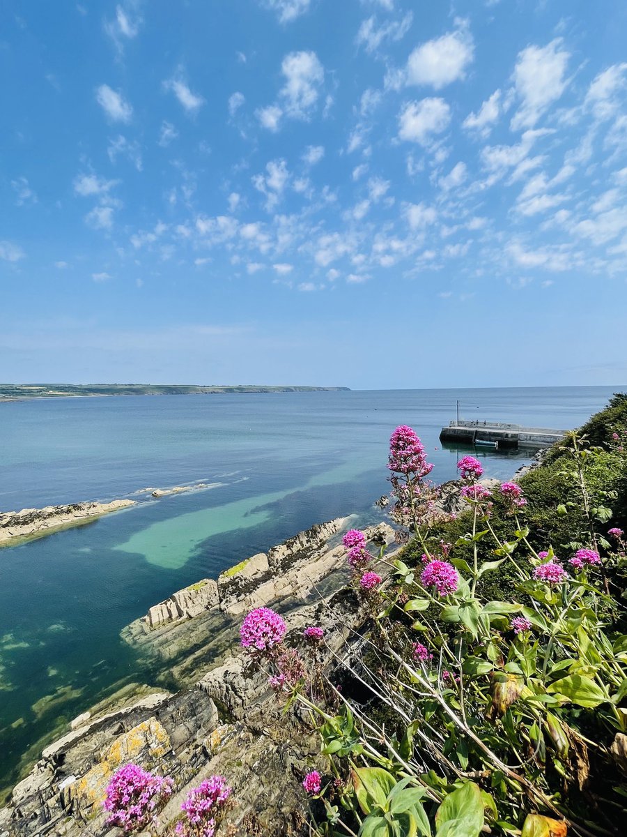 finnhug's tweet photo. The sunny southeast ☀️💙☀️#notcork #ardmore @ThePhotoHour @discoverirl @barrabest @corkbeo @pure_cork https://t.co/gPClnXia8i