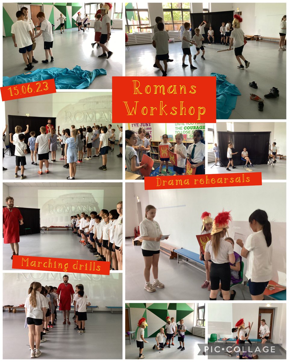 Year 4 LTPA tweet media