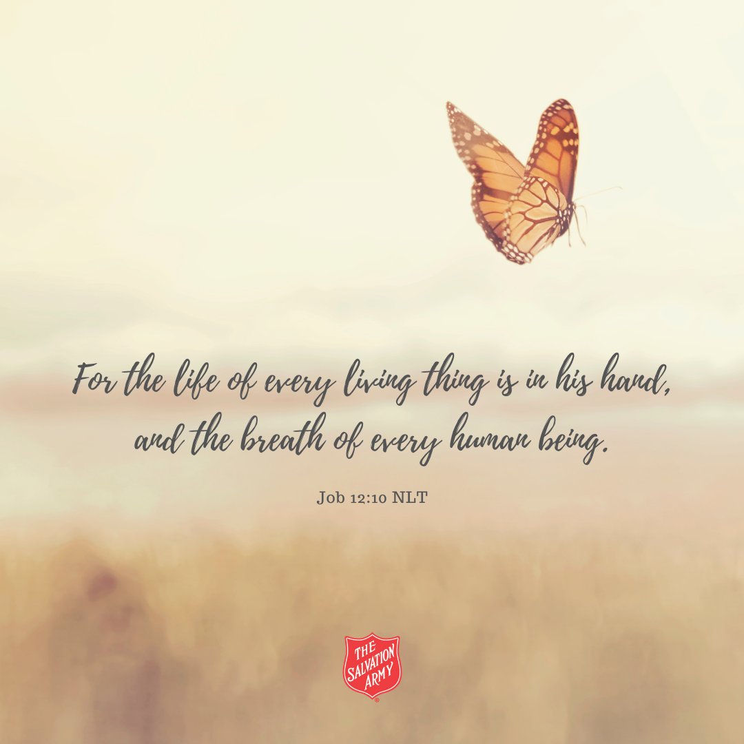 ChattanoogaSA's tweet photo. Every life is precious, and we all have a responsibility to care for every living being. https://t.co/u4nX40bkMX