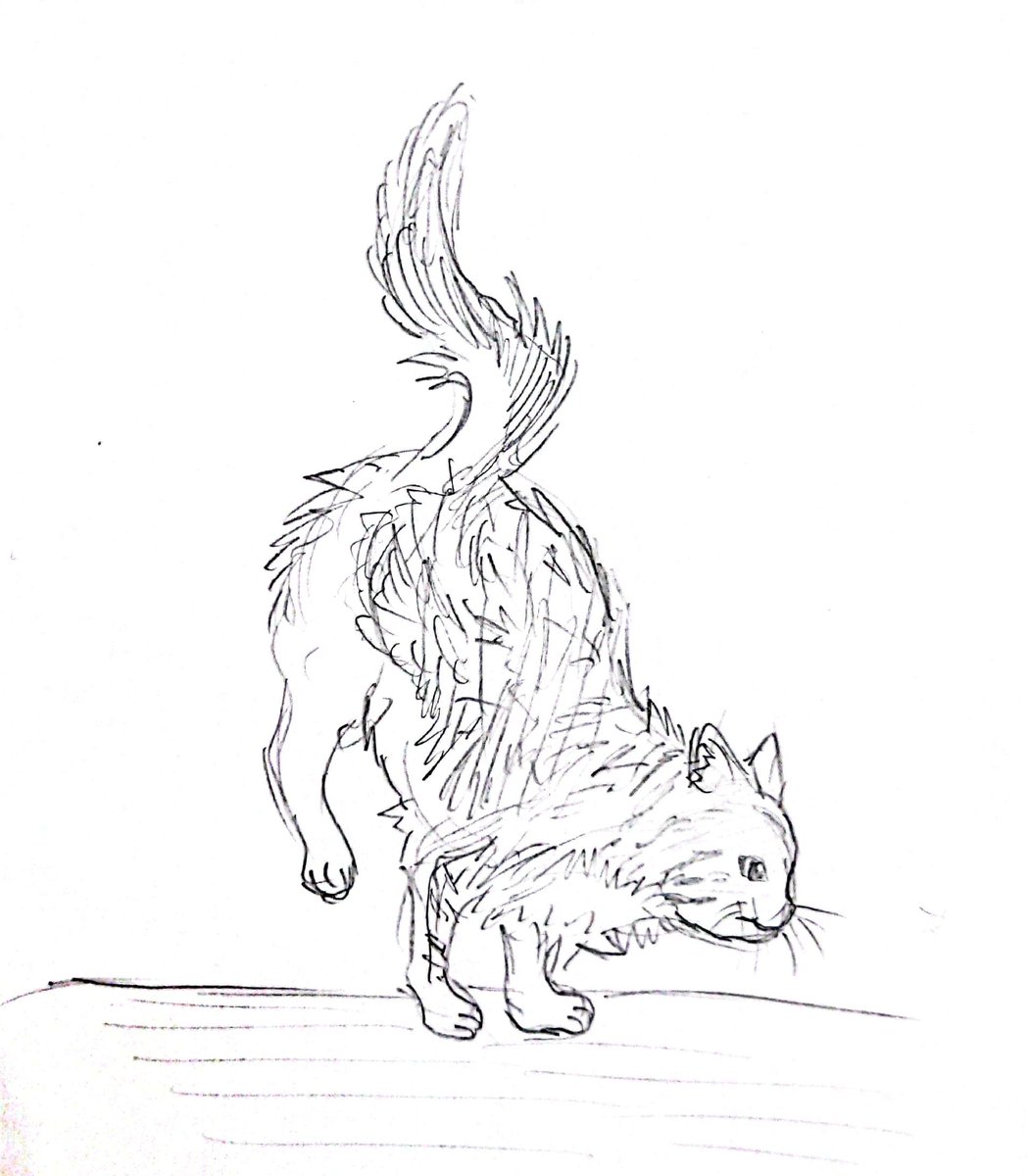 メッチャ美しいねこの写真を
見ながら描いた https://t.co/WksSOhIruj