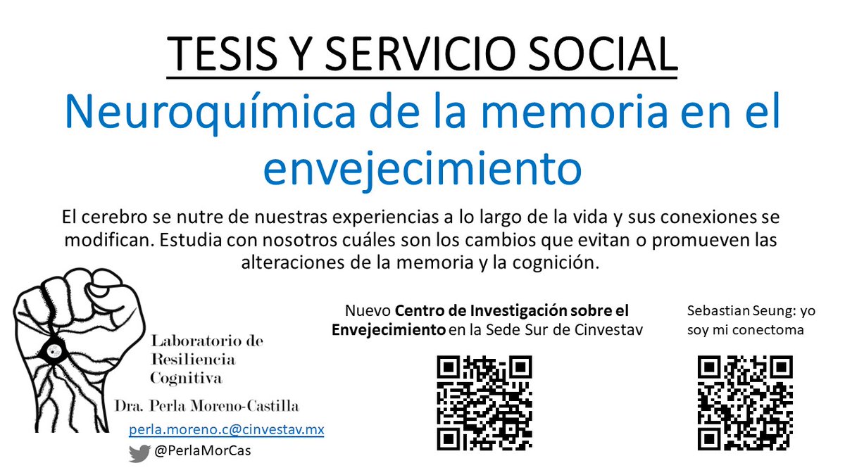 TyR_lab's tweet photo. Para estudiantes interesados en el entender el envejecimiento neurocognitivo!!! @PerlaMorCas https://t.co/ts2ZaZhelo