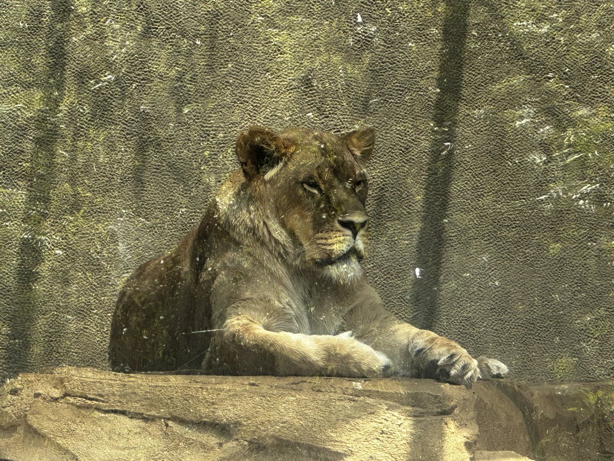 John Williams tweet media