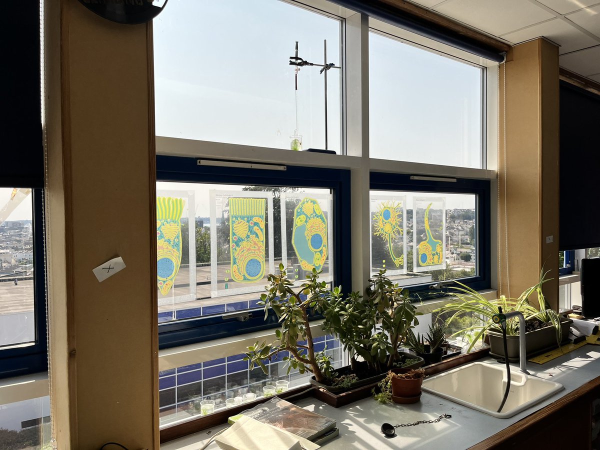 Jon Hale tweet media