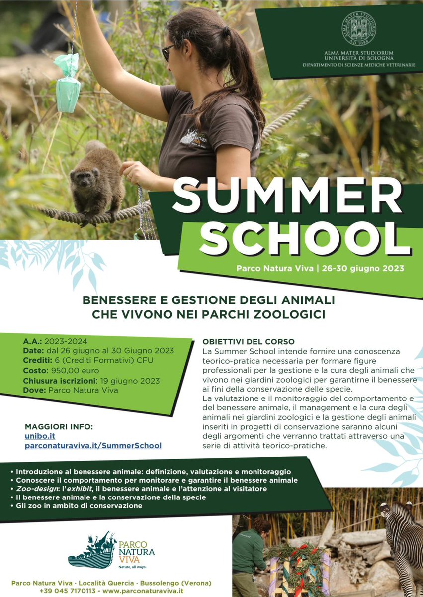 MarlianiGio's tweet photo. ❗❗❗LAST CALL❗❗❗
SCADENZA IL 19 GIUGNO
Vi aspettiamo al @ParcoNaturaViva per questa  Summer School in collaborazione con @Unibo
Link:
https://t.co/WhwVuHbwHR

#zoo #formazione #summer #SummerSchool #behaviour #ethology #animals #welfare #AnimalWelfare #conservation https://t.co/xpC6RC4aWt