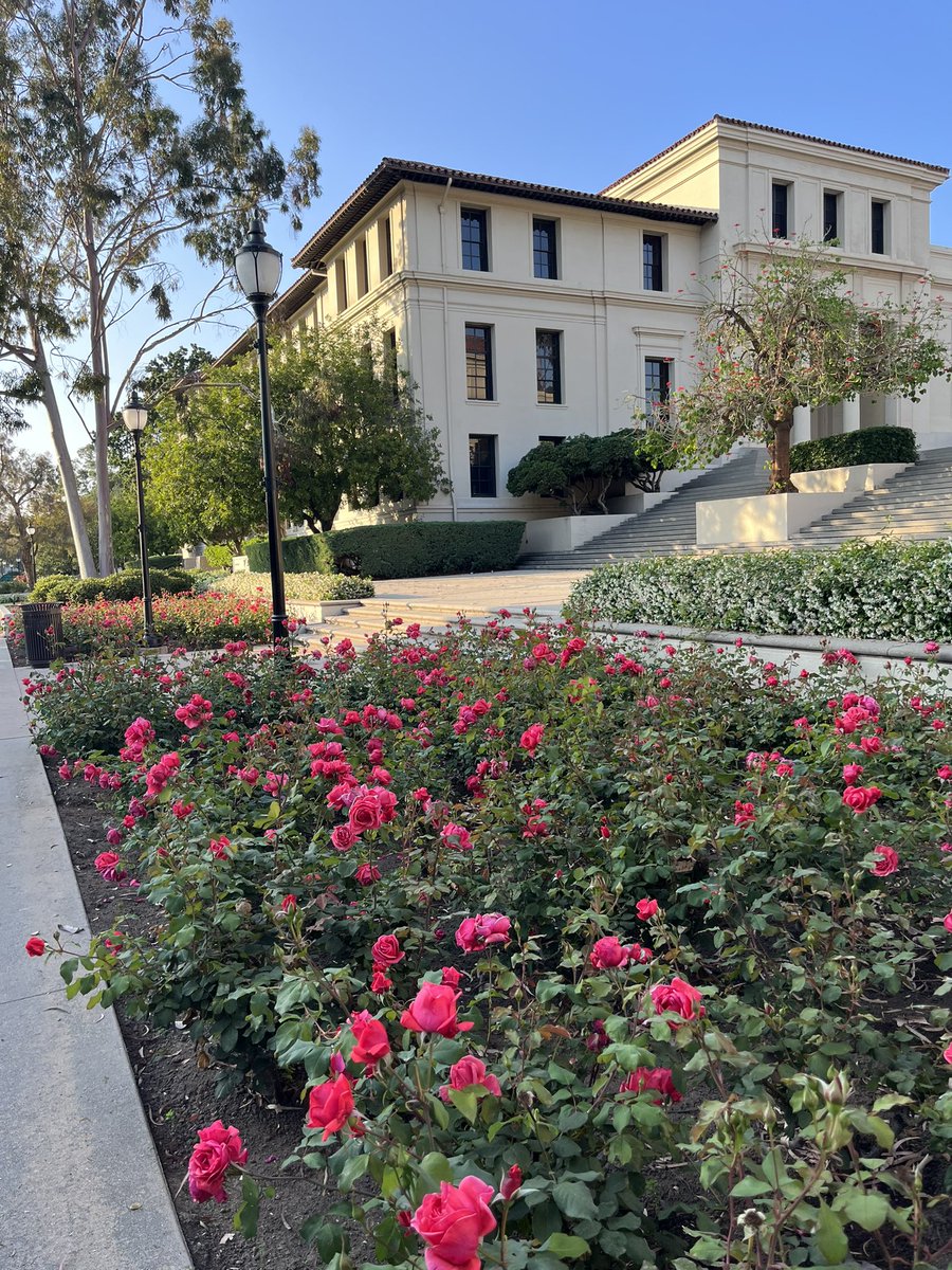 PoslednikAnna's tweet photo. At @Occidental for a bioinformatics workshop this week and this has to be the best smelling campus I have ever visited!! Every time I walk outside: 😌✨💫🤯🌺🌹🌸🥰 https://t.co/aiHGLyME48