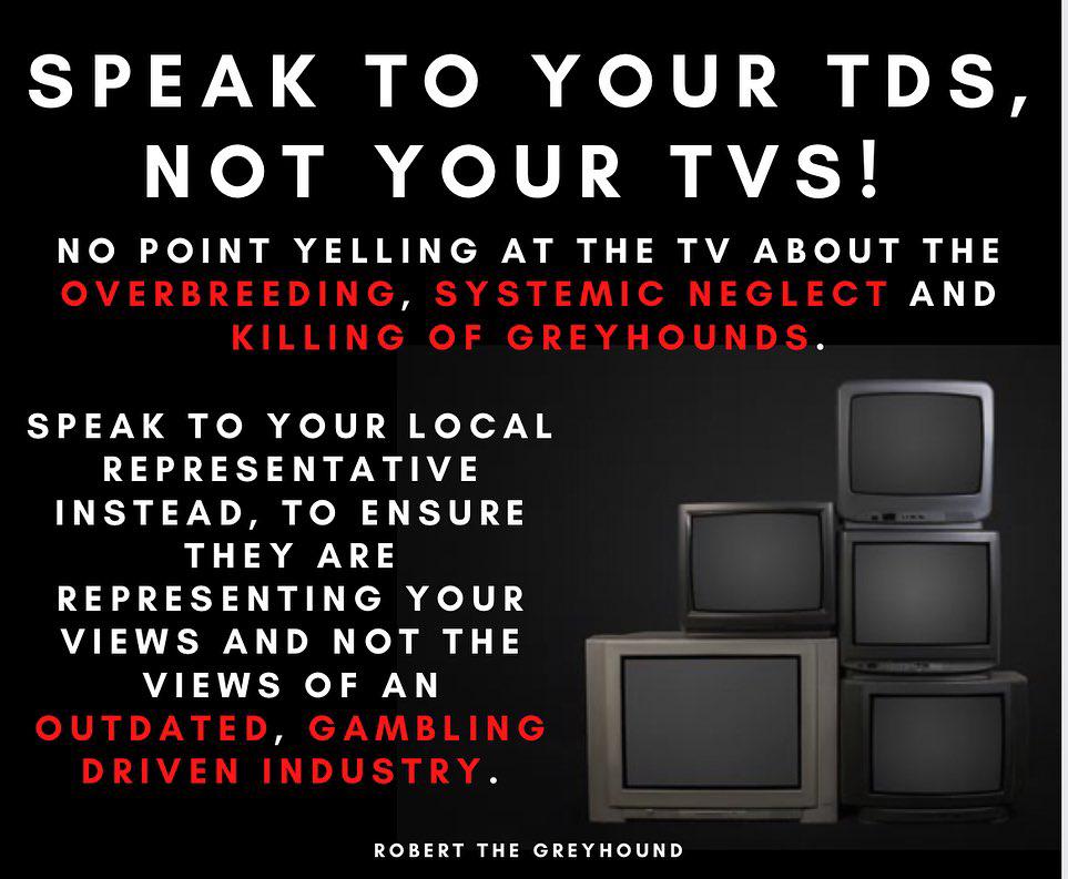 Speak up for the #Greyhounds! No point yelling at your TV, you should be speaking to your TD and local representatives to make sure they are aligned with your views and representing them accordingly, not pandering to a gambling industry! #PetsNotBets #BanGreyhoundRacing