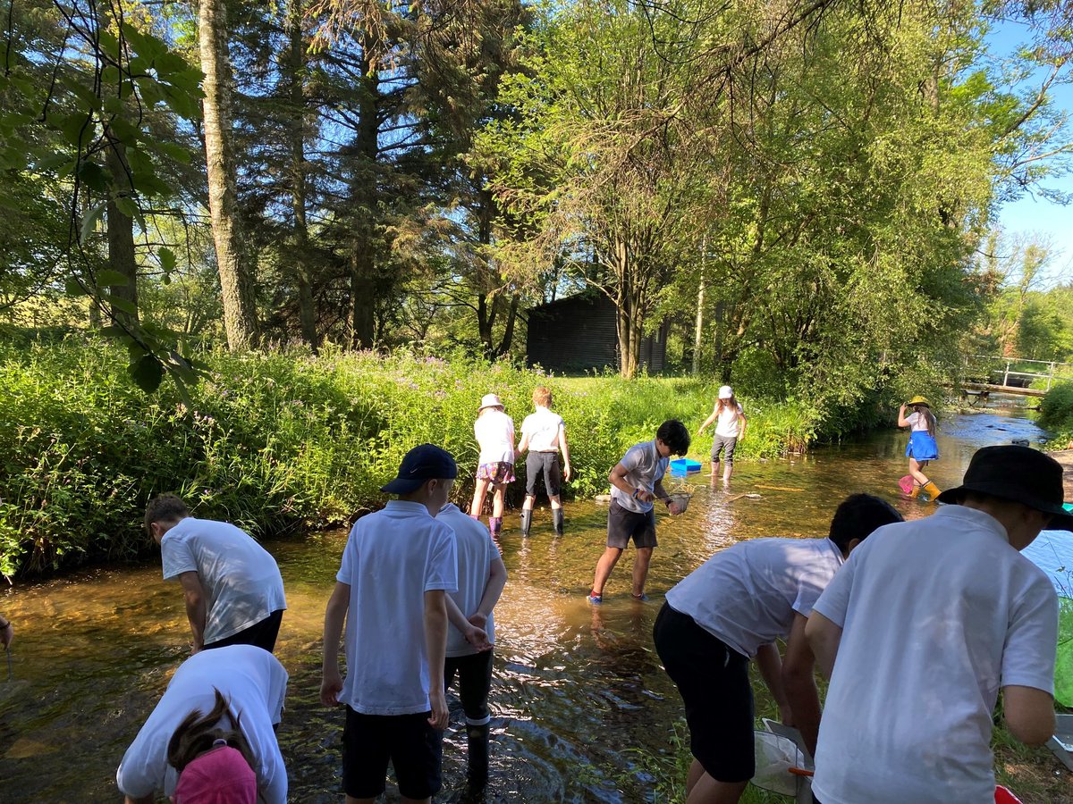 FossowayPrimary tweet media