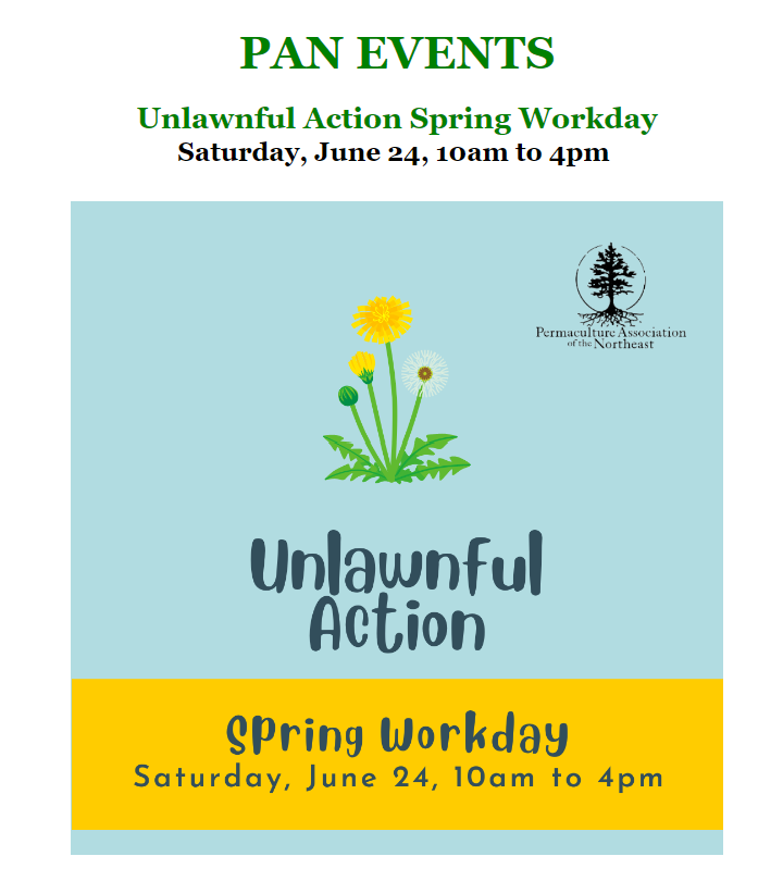 PINEnetwork's tweet photo. Join us for an Unlawnful Action Work Day!

When: 10am to 4pm, 1 hour lunch. Come for as much as you want to!
Where: 98 Rogers Road, Troy, Maine, 04987

Spaces are limited, so please RSVP: jackstam42@gmail.com

Learn about transitioning grassy yard space into perennial ecosystems! https://t.co/KBu8GO4o2g