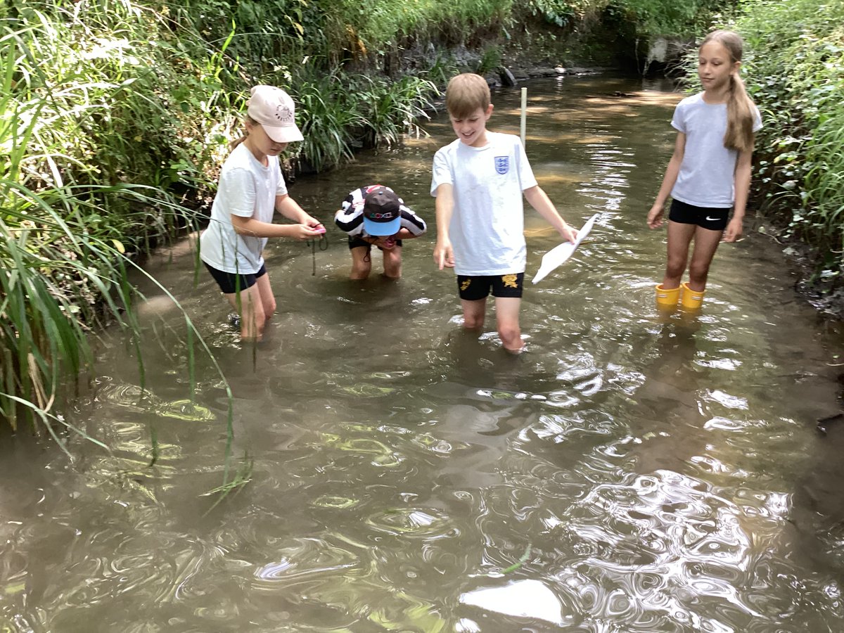 Hillview Primary School & Early Years tweet media