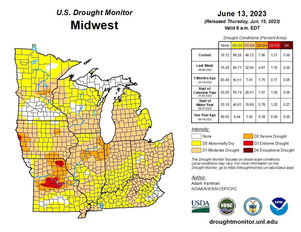 Molly Woloszyn tweet media
