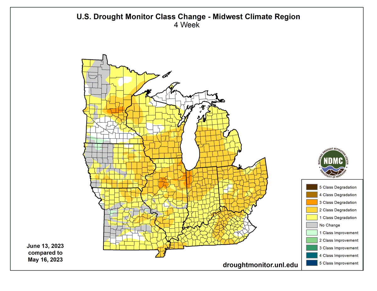 Molly Woloszyn tweet media