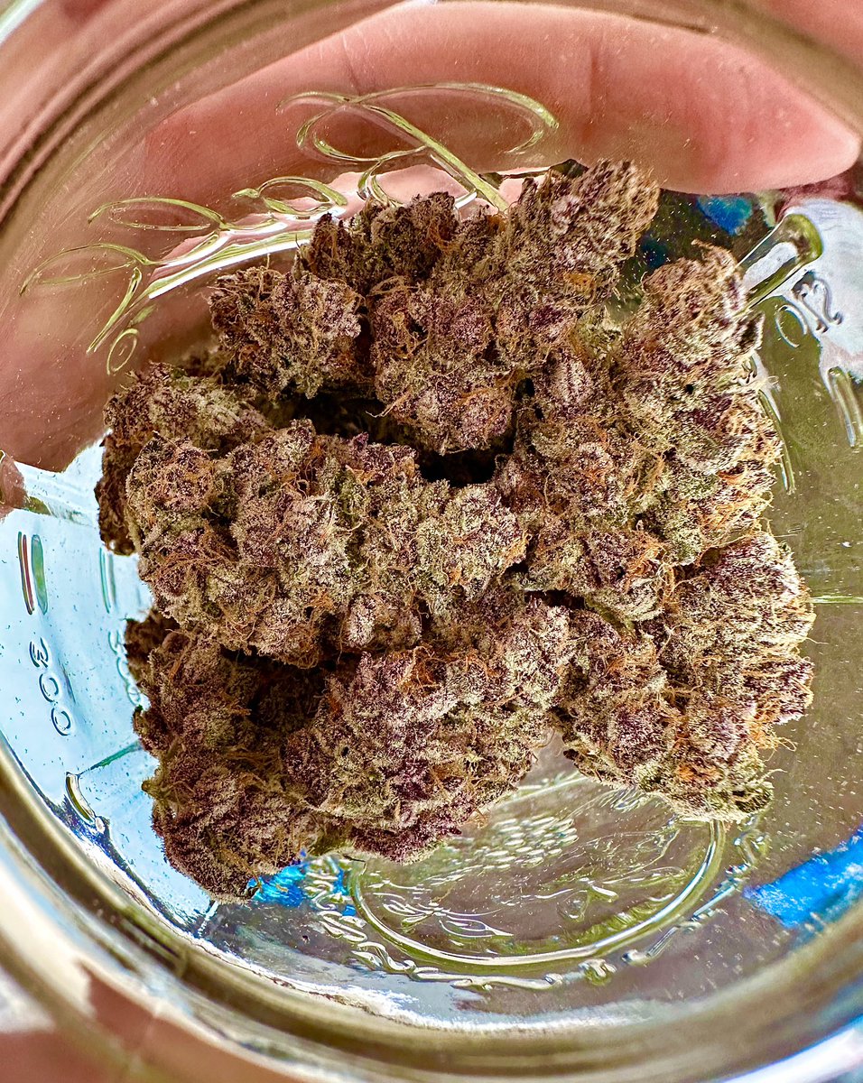 🍓🍍 Strawneapple is coming to exoticgenetix.com on July 7th ladies &amp; gents! In the meantime… let’s do a GIVEAWAY for a few packs of seeds!!! 2 WINNERS for this one folks! 🍍🍓

🚨Rules~

• Follow <a href="/exoticgenetix/">Exoticgenetix</a> 

• Tag 5 friends 

• Like + Retweet 

I will announce the