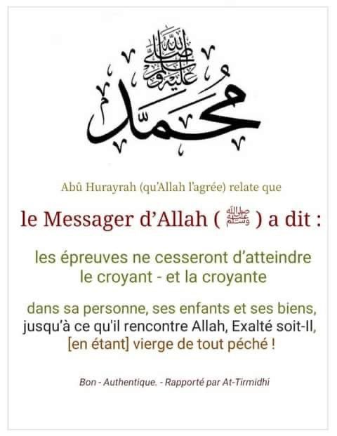 ItiyaFL's tweet photo. https://t.co/UnkLqZCkn4