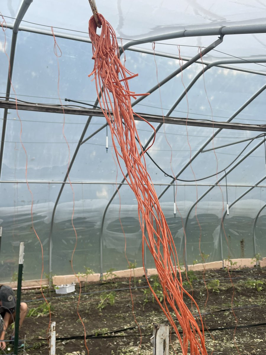 Susie miller tweet media