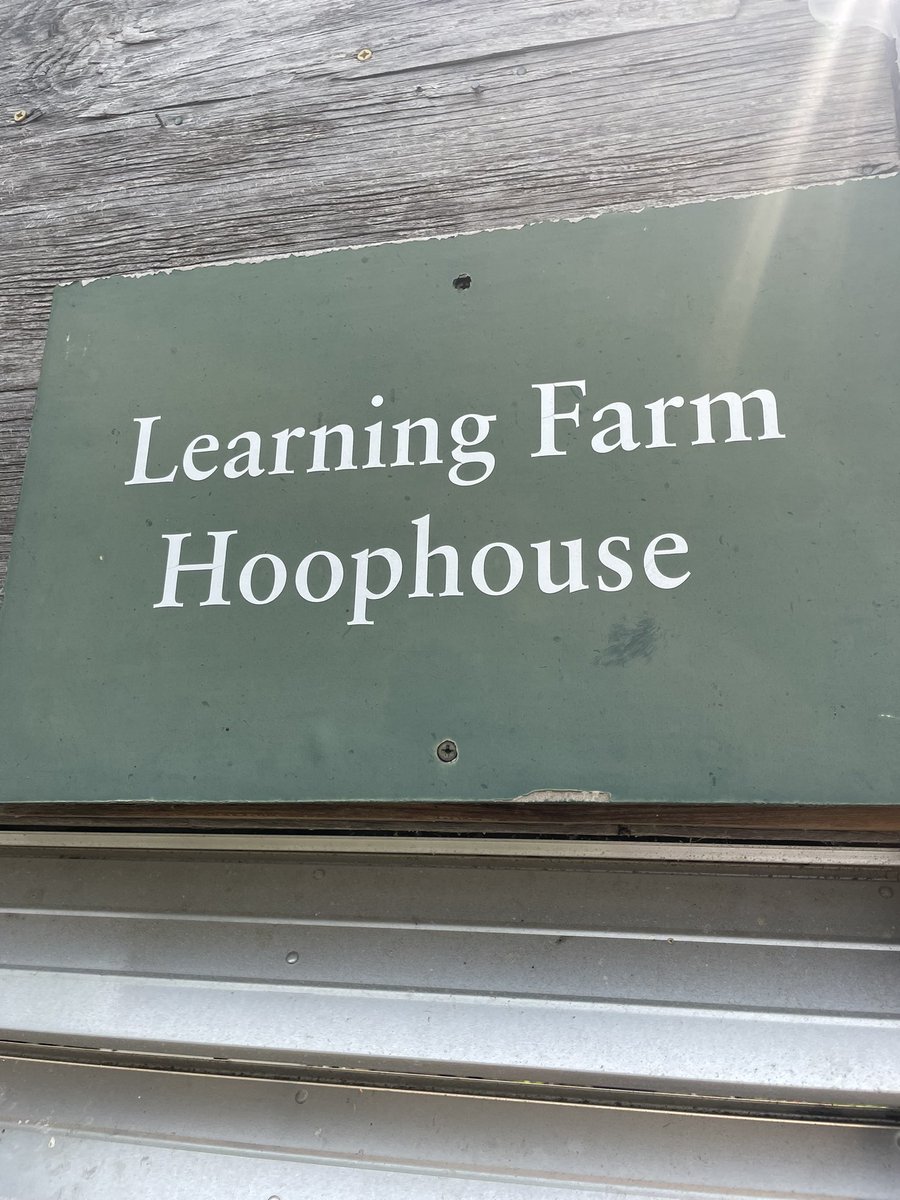 Susie miller tweet media