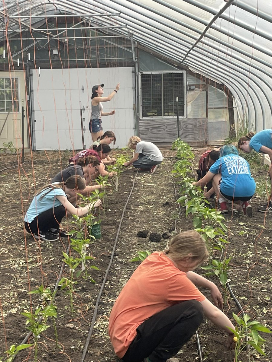 Susie miller tweet media