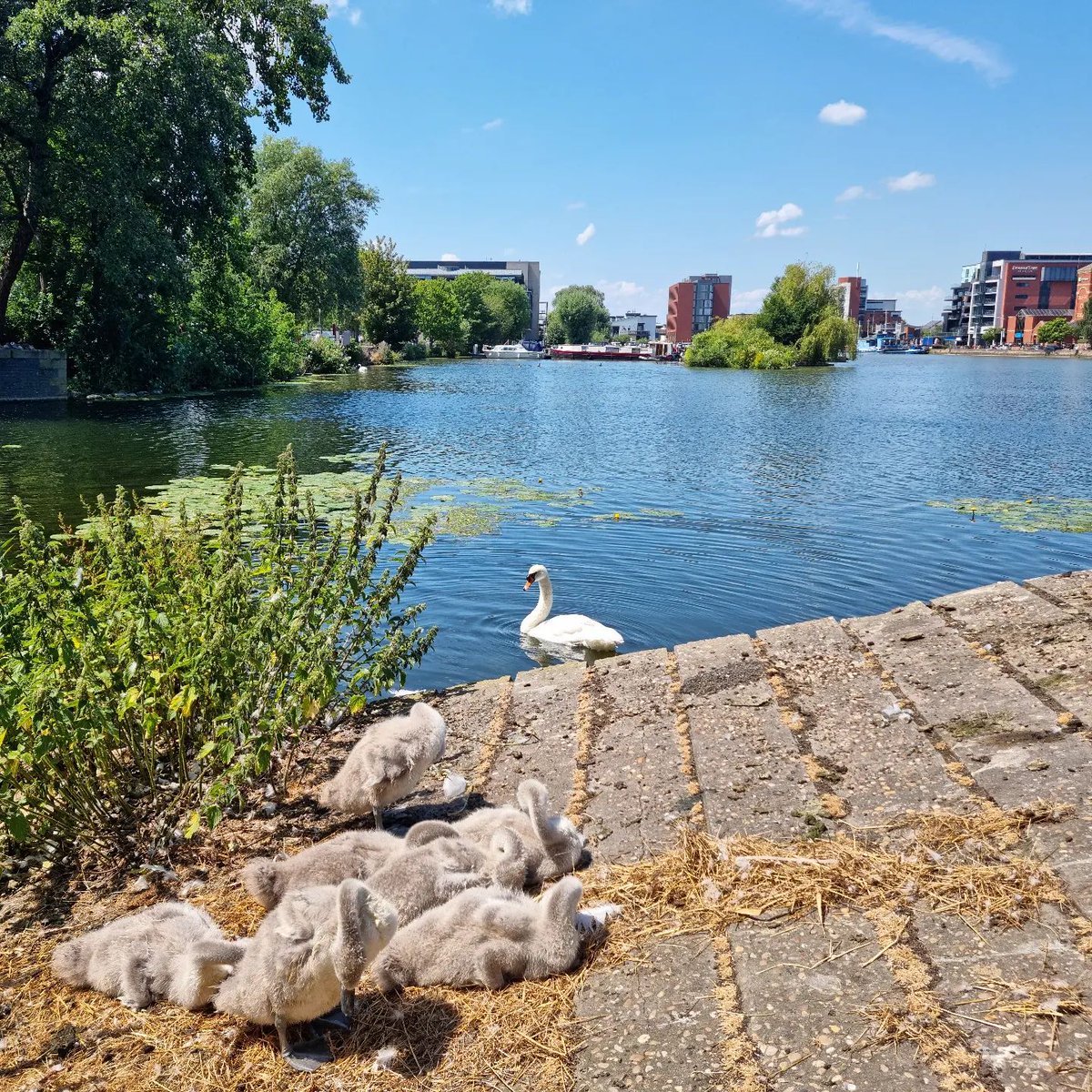 Love our campus wildlife! 🥰

Photo credit to lauma21_.

Keep sharing your pictures using #UniLincolnPOTW for a chance to win next week.