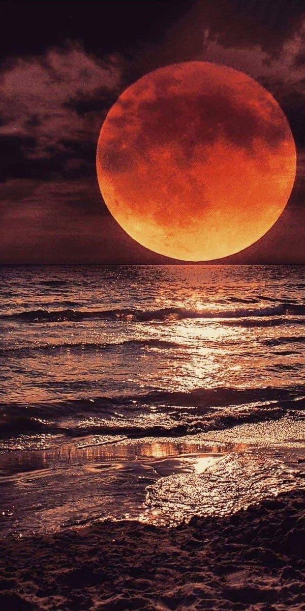 Fascinante y maravillosa😍😍😍