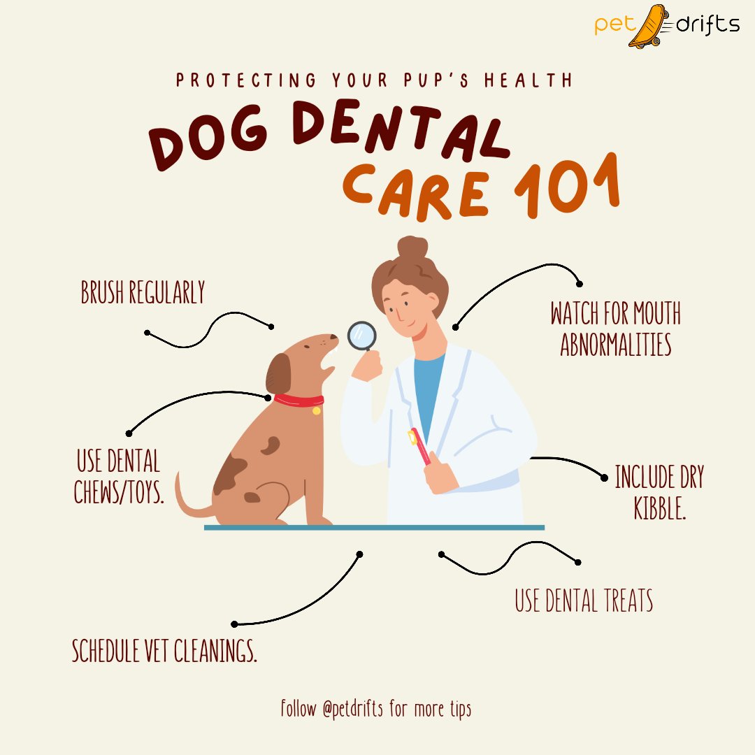 Keep those pup's smile shinning ✨

#dogcare #dogsofcanada #siberianhusk #dogsofinstagram #dog #dogstagram #dogs  #puppy #dogsoftoronto #dogoftheday #dogsofinsta #puppiesofinstagram #canada #canadiandogs #dogsofig #dogsofinstaworld #torontodogs #bestwoof #toronto
#dogdental