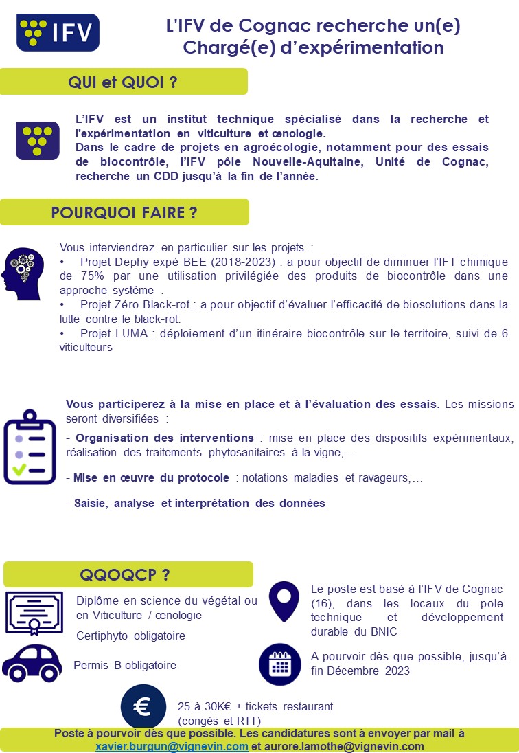 Xavier_Burg1's tweet photo. L'IFV recherche toujours un(e) CDD chargé(e) d'expérimentation 😅! Merci de partager s'il vous plait... 🍇🦋🔍 https://t.co/BpSdYYKKBQ