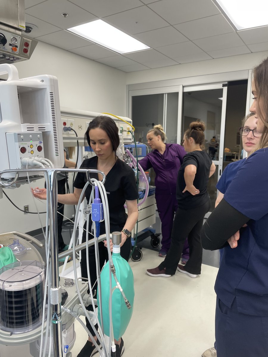 Check out these great photos of our amazing UArizona Nurse Anesthesiology students in action at this year's RISE program.

@uazhealthsciences <a href="/uarizona/">University of Arizona</a> #nursing #nurse #wildcatnurseforlife #nursingschoollife #nursingschool #universityofarizona #universityofarizonawildcats