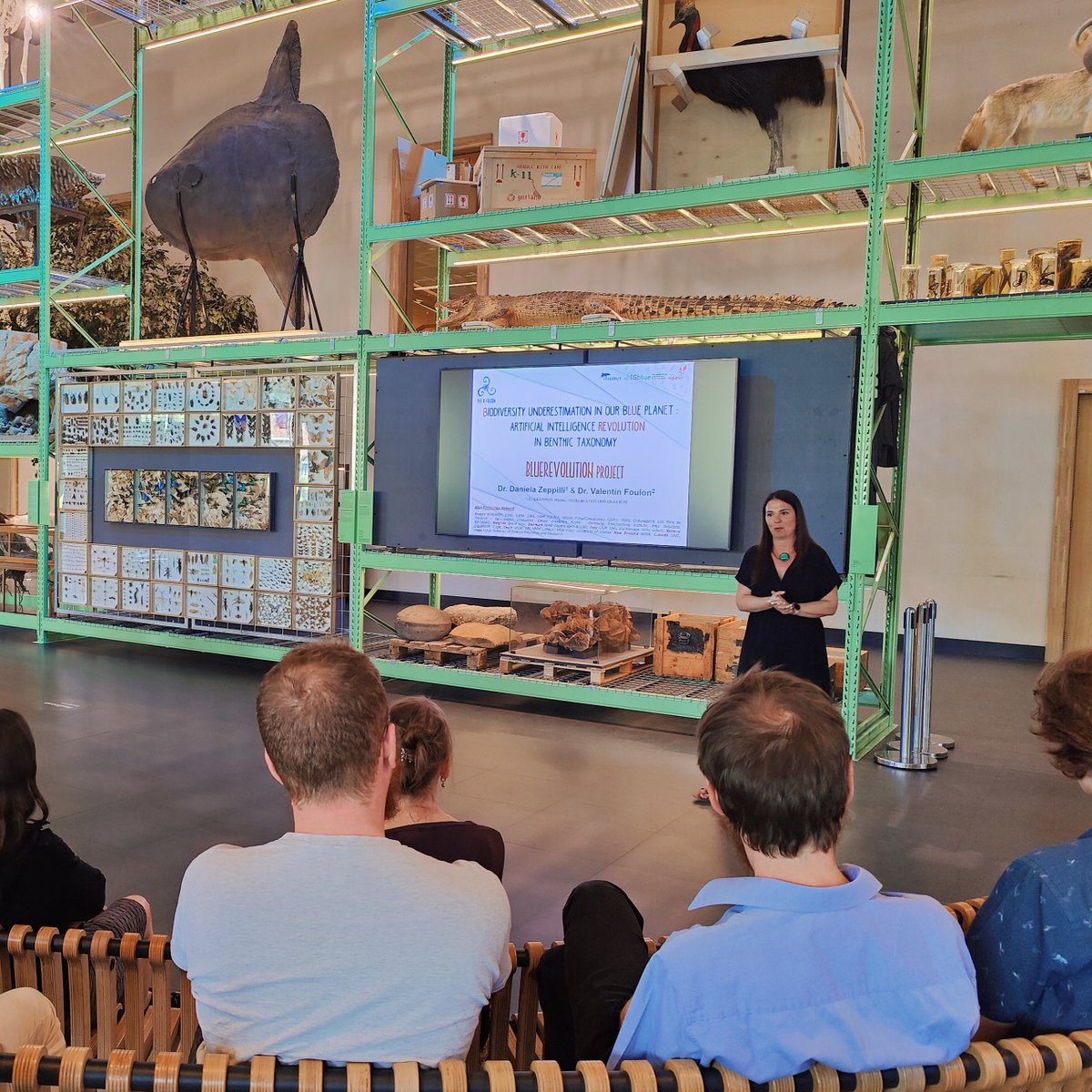 Jan Macher tweet media