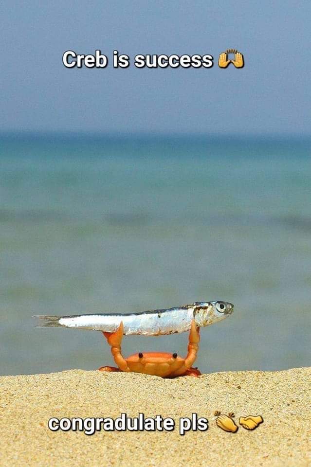 FocaVisual's tweet image. Concrebjulations