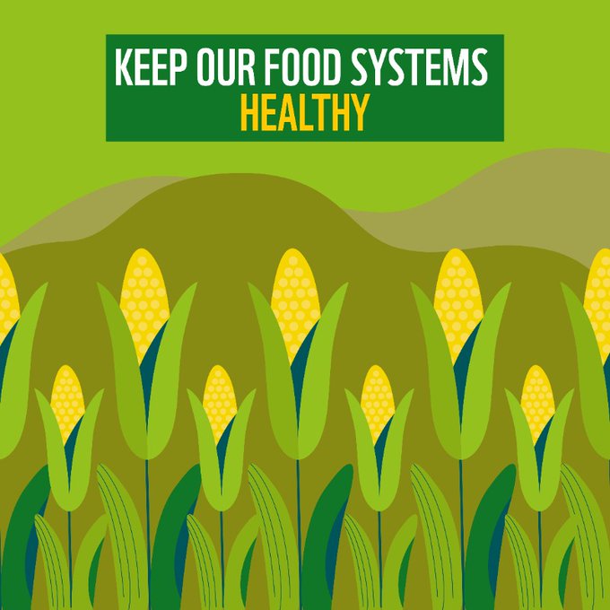 UNBiodiversity's tweet photo. 😰 Food production is responsible for around 30% of greenhouse gas emissions.

Meanwhile, we waste a third of the food we produce. 

For a healthy planet, we need healthy food systems: https://t.co/WnFH3mEWXK

Via @WWF https://t.co/NvkdDvNNx7