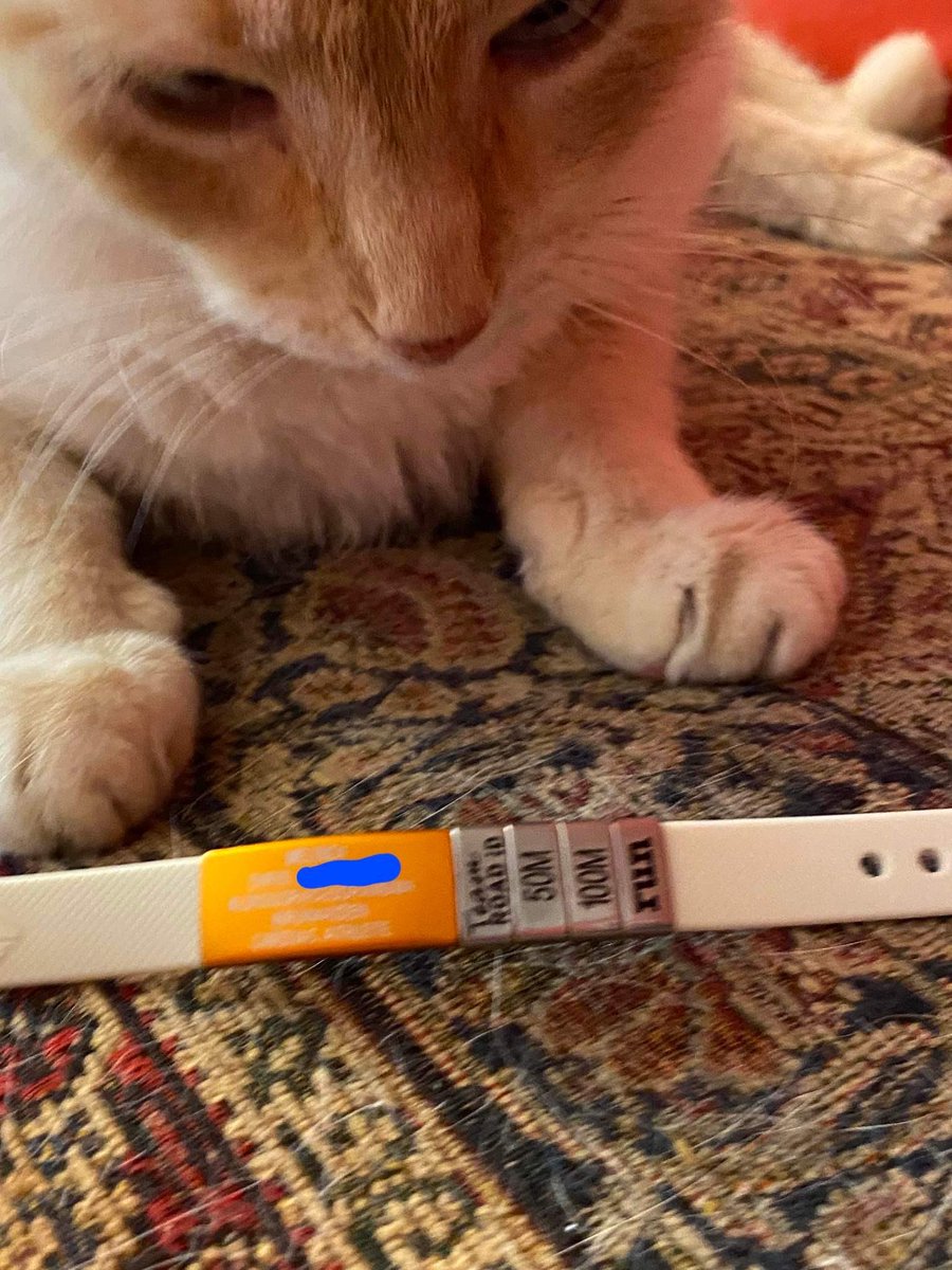 MelindaHoward4's tweet photo. Castro is a huge fan of the #NewID ROAD iD because he matches the great #PhoenixID😃
This limited #ROADiD is available until the end of June. You can order this or any ID at this link to have a discount automatically applied: https://t.co/fuSpJHqPmg https://t.co/o4BFJ6eWiG
