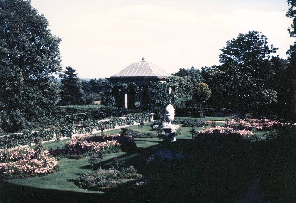 FDUWhatsNew's tweet photo. Happy #NaturePhotographyDay! Check out these gorgeous shots of the #FDUFlorham #gardens in the 1940s ๐ณ
Share your favorite FDU #nature shots & tag us!
๐ธ FDU Libraries Digital Archives
#myfdu #fduwhatsold #fairleighdickinsonuniversity #throwback #throwbackthursday #tbt https://t.co/lxZ4HD3wBW