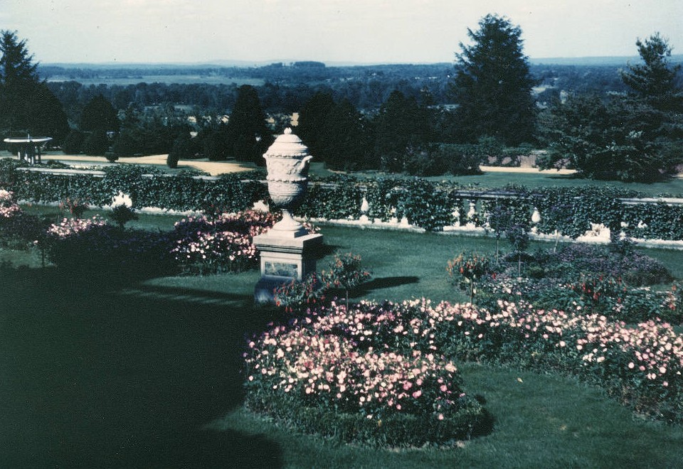 FDUWhatsNew's tweet photo. Happy #NaturePhotographyDay! Check out these gorgeous shots of the #FDUFlorham #gardens in the 1940s ๐ณ
Share your favorite FDU #nature shots & tag us!
๐ธ FDU Libraries Digital Archives
#myfdu #fduwhatsold #fairleighdickinsonuniversity #throwback #throwbackthursday #tbt https://t.co/lxZ4HD3wBW