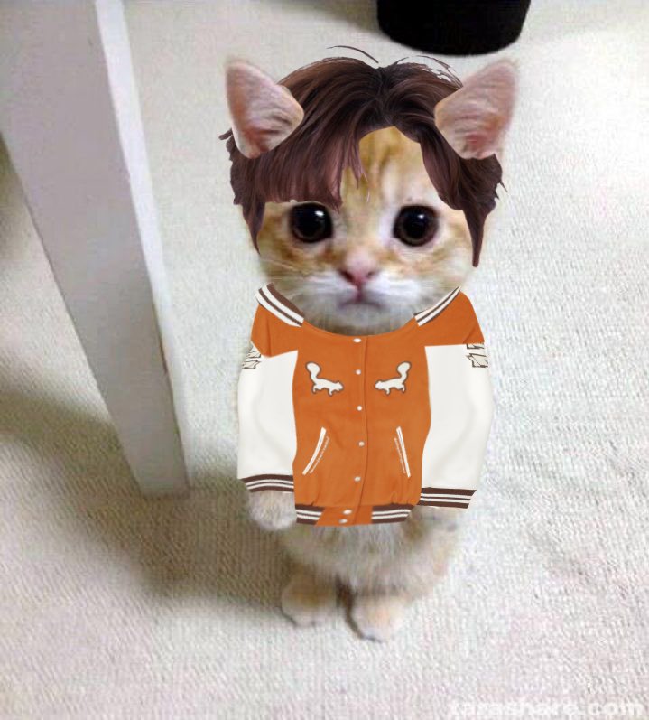 Matthew el gato
