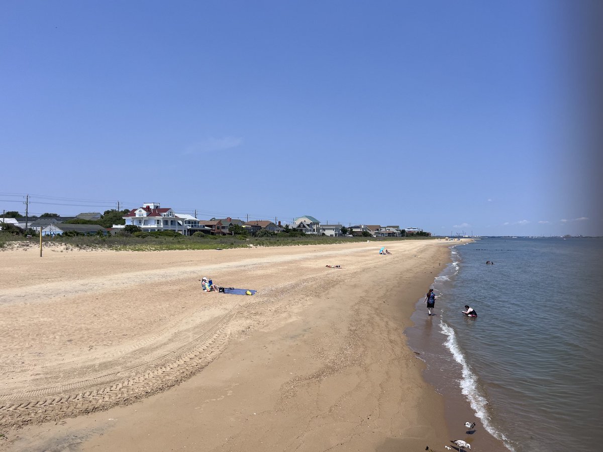 raynee meek tweet media