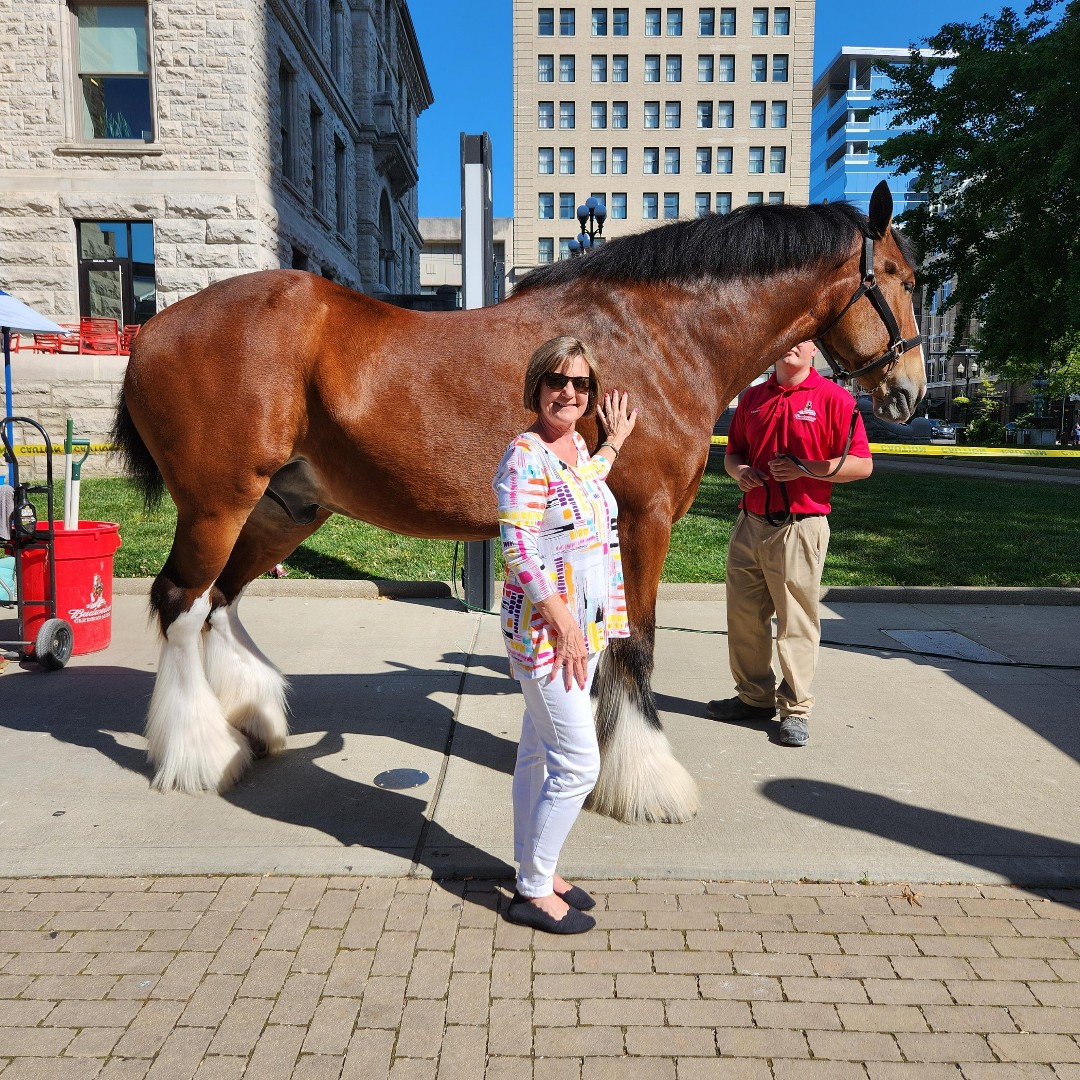 WiserStrategies's tweet photo. If you aren't downtown for @CentralBankCntr Thursday Night Live, you don't know what you're missing. Nancy Wiser couldn't resist getting close to a Clydesdale and sharing a laugh with @DLexPartnership staff. She also enjoyed unique art from Christine Kuhn and a rockin' band! https://t.co/0xWVj32rul