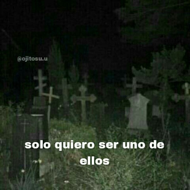 vinoypastis (@vinoypastillas) on Twitter photo 