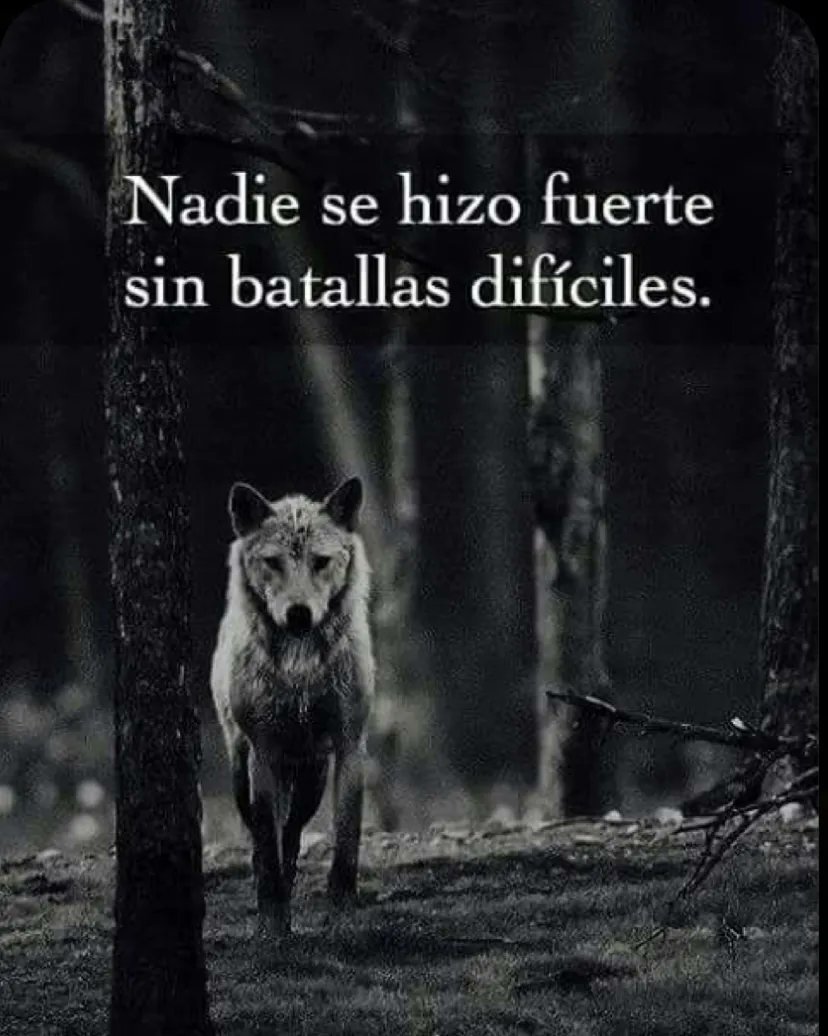 Paulo Coelho Español (@paulocoelhodice) on Twitter photo 