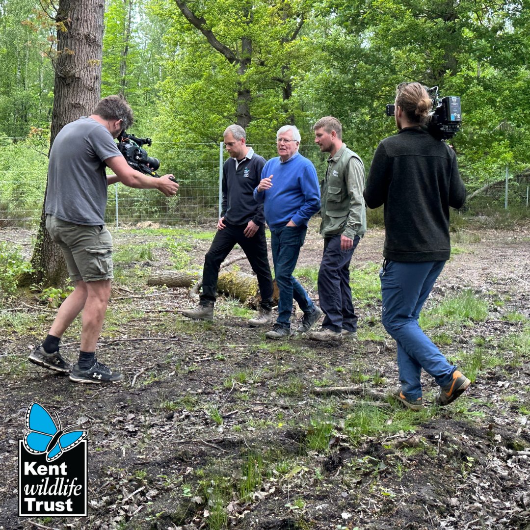 Did you see the #WilderBlean project on #Countryfile?

We showed John Craven how the project has developed over the last year. 

Don't worry if you missed it; you can catch up on I-player, by scrolling to 13mins in.

bbc.co.uk/iplayer/episod…

<a href="/WildwoodTrust/">Wildwood Kent</a>