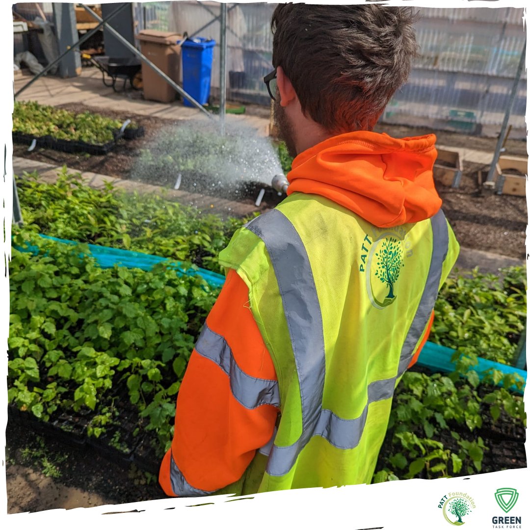 PATT_Foundation's tweet photo. Our team have been working hard this week to keep our saplings hydrated during the heat.
Great job, Jordan!
#Nature #conservation #woodland #treeplanting #employment #veteranshelpingveterans #veteranemployment #woodlandmanagment #GreenTaskForce #PattFoundation https://t.co/ciUmbuOvso