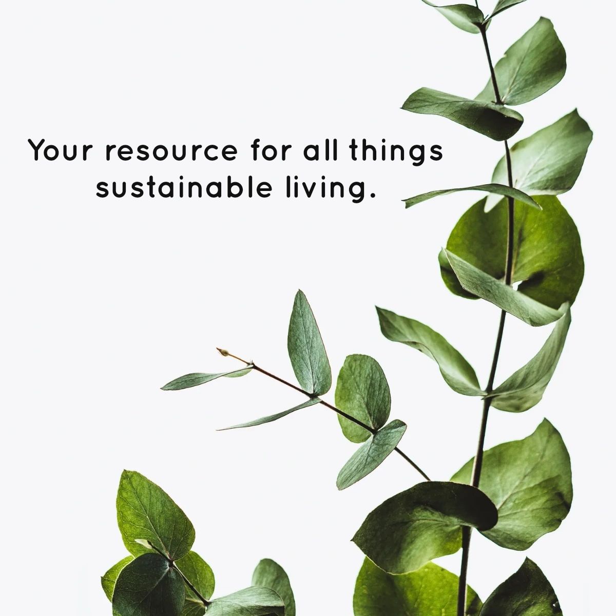 _SustainableMe's tweet photo. Living sustainably means making conscious choices to reduce our impact on the environment. At Sustainable Me, we're here to help you make those choices! We offer resources and advice on everything from composting to eco-friendly transportation. Check us out on our website! https://t.co/j1zgOqgdnH