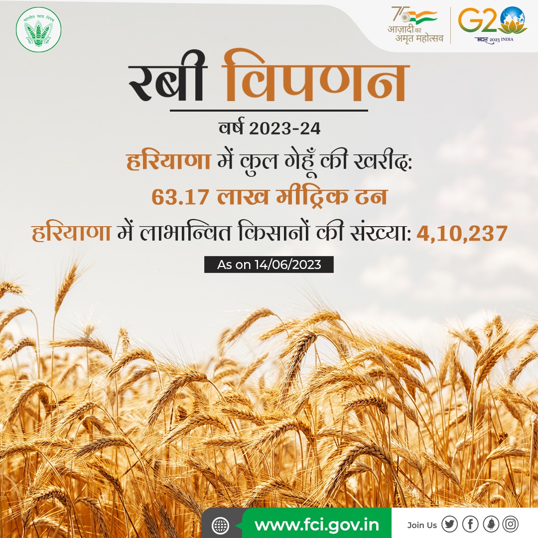 भारत सरकार ने न्यूनतम मूल्य समर्थन प्रणाली के तहत #हरियाणा के 4,10,237 किसानों से 63.17 लाख मीट्रिक टन गेहूँ ख़रीदा एवं इसका भुगतान सीधे उनके बैंक खातों में दिया गया। #Procurement #RabiMarketingSeason