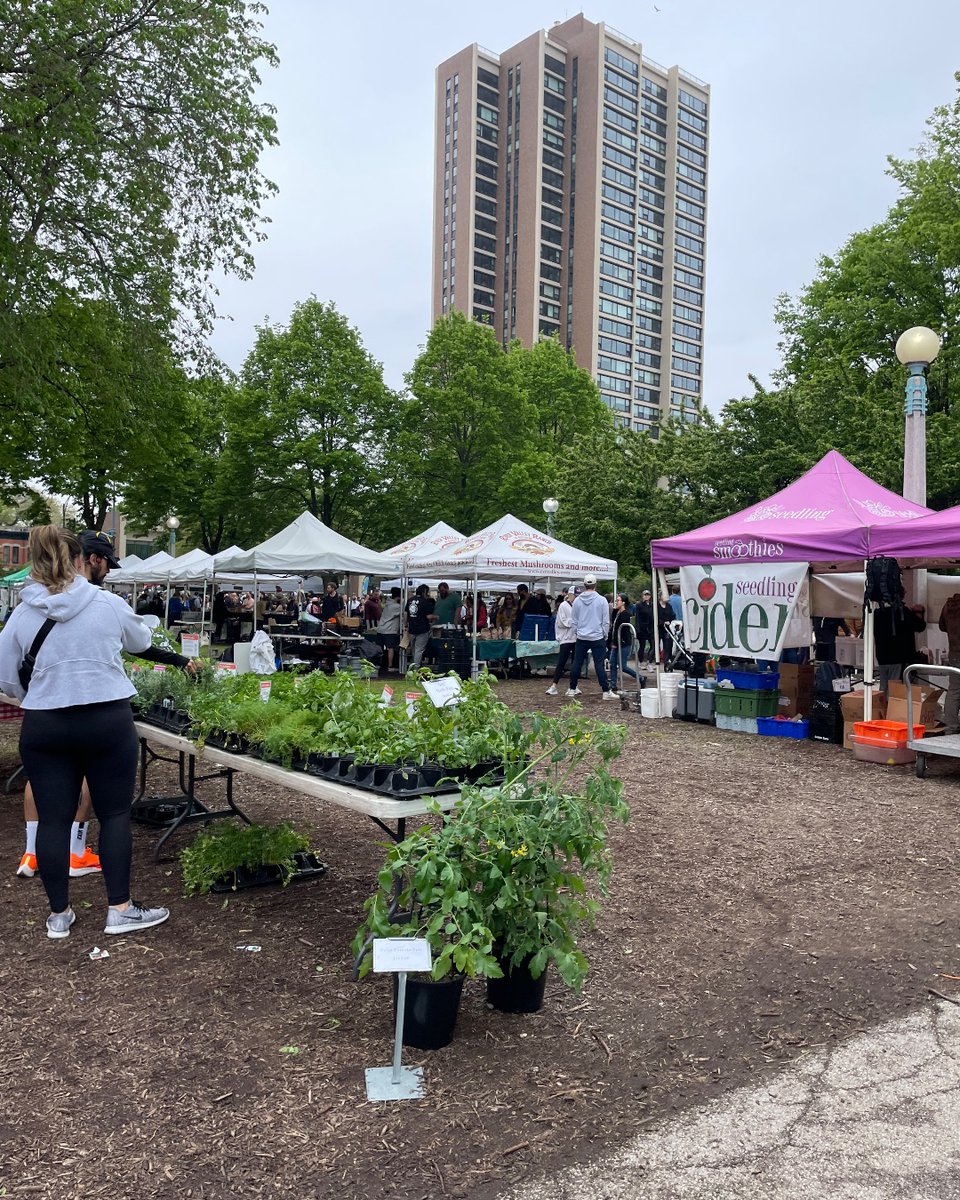 nikijonesagency's tweet photo. A mental refresh comes in many forms. For our social media specialist, it’s getting outside to enjoy the beautiful weather at her local farmer's market. It’s an amazing way to find hidden treasures while supporting local businesses. #agencylife #mentalrefresh #chicagoil https://t.co/9pHzYm5RVV