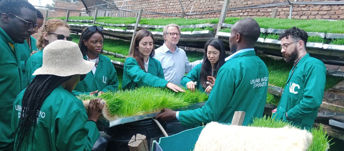 Today, UKC hosted London school of Economics(LSE) fraternity at our hub. They learnt a lot about #HydroponicTech and the tailored skills utilization at market acquisition, retention and extensions. Our journey at Ignite accelerator has indefinately anchored our smooth growth.