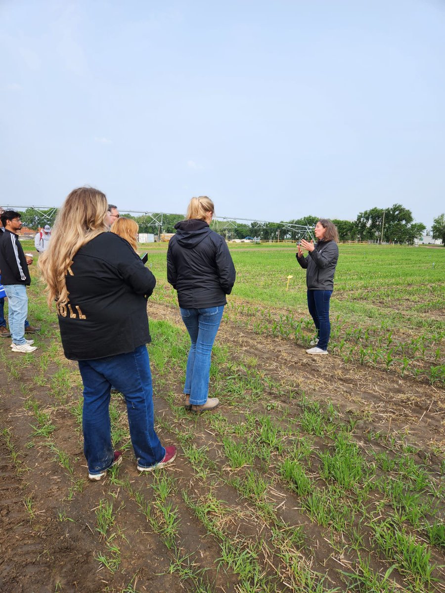 FarmingSmarter's tweet photo. Our first two sessions at #FSFS23 drew great conversation about roller crimping and cover crops!
A big thank you to @gdhillon34 & @MaryseBourgault for the fantastic presentations! https://t.co/fK7a80iUt4