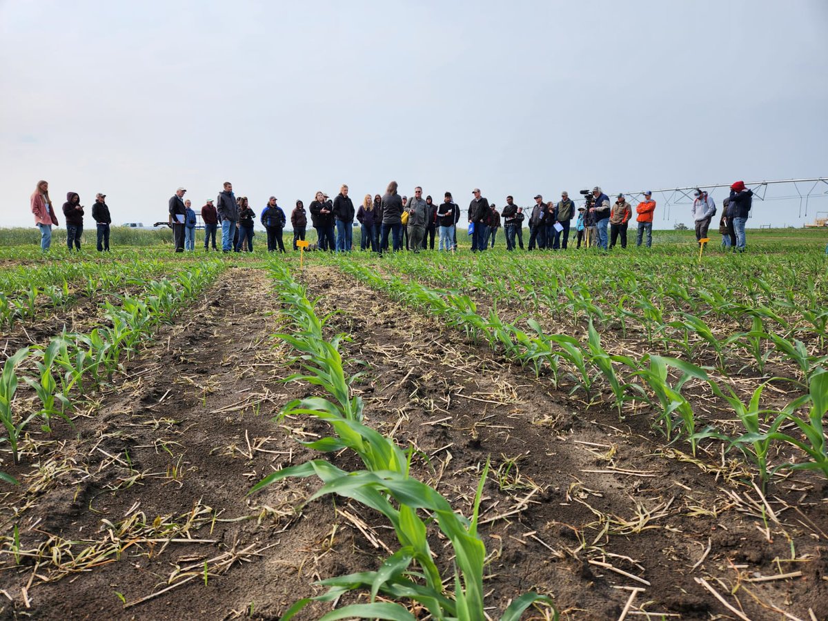 FarmingSmarter's tweet photo. Our first two sessions at #FSFS23 drew great conversation about roller crimping and cover crops!
A big thank you to @gdhillon34 & @MaryseBourgault for the fantastic presentations! https://t.co/fK7a80iUt4